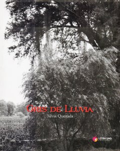 Gris de lluvia