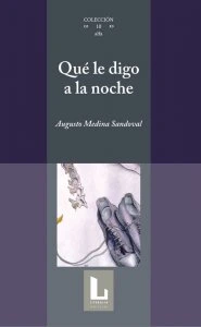 Qué le digo a la noche
