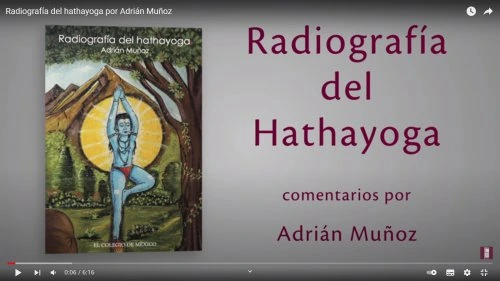 Comentarios al libro Radiografía del hathayoga