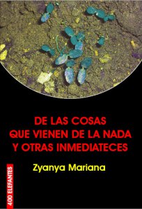 De las cosas que vienen de la nada y otras inmediateces
