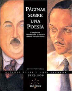 Páginas sobre una poesía