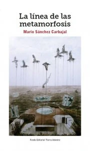 La línea de las metamorfosis