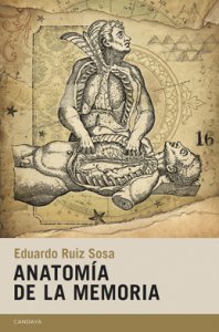 Anatomía de la memoria