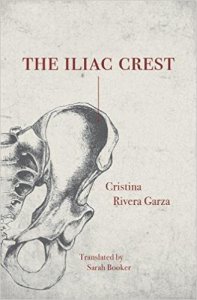 The iliac crest