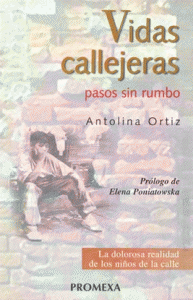 Vidas callejeras : pasos sin rumbo
