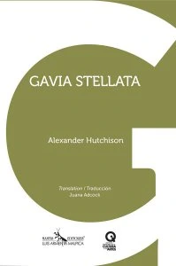 Gavia stellata