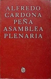 Asamblea plenaria 