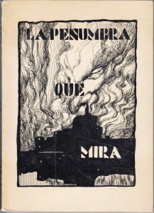 La penumbra que mira