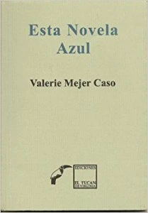Esta novela azul