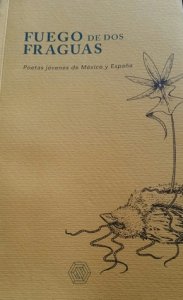 Fuego de dos fraguas : poetas jóvenes de México y España