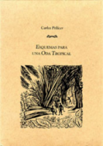 Esquemas para una oda tropical