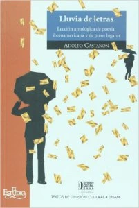 Lluvia de letras : Lección antológica de poesía iberoamericana y otros lugares (Paseos VIII)