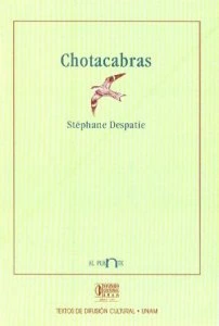 Chotacabras 