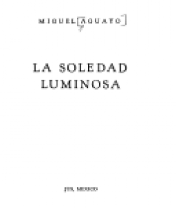 La soledad luminosa