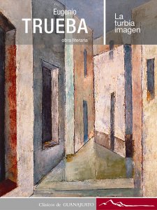La turbia imagen
