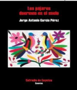 Los pájaros duermen en el suelo
