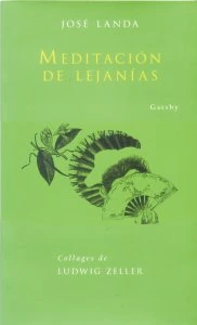 Meditación de lejanías