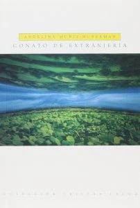 Conato de extranjería