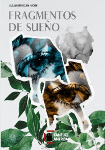 Fragmentos de sueño