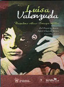 Luisa Valenzuela : perspectivas críticas