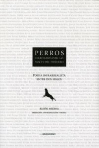 Perros habitados por las voces del desierto : poesía infrarrealista entre dos siglos