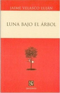 Luna bajo el árbol