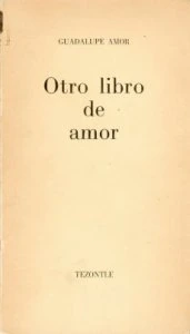Otro libro de amor