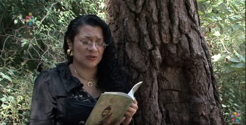 Adriana Tafoya V2