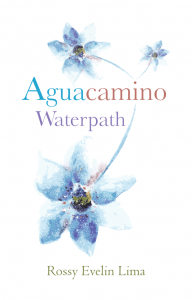 Aguacamino