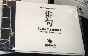 Haikús de aire y tierra