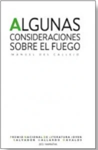 Algunas consideraciones sobre el fuego