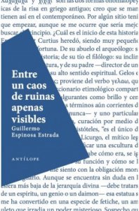 Entre un caos de ruinas apenas visibles
