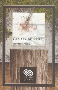Cámara de Gesell