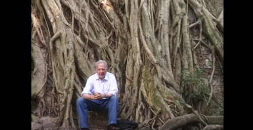 Sergio Pitol en Quiahuixtlán, Veracruz