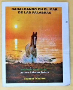 Cabalgando en el mar de las palabras