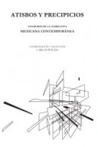 Atisbos y precipicios : linderos de la narrativa mexicana contemporánea
