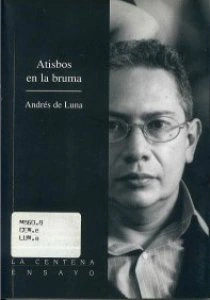 Atisbos en la bruma