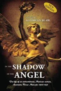 In the Shadow of the Angel : three critical decades in Mexico´s history
