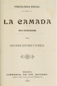 La camada : novela histórica mexicana