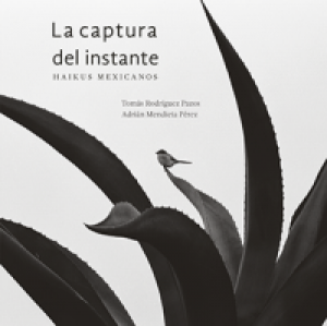 La captura del instante : haikus mexicanos