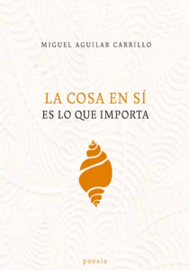 La cosa en sí es lo que importa