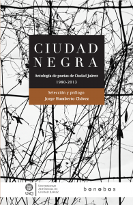 Ciudad negra : antología de poetas de Ciudad Juárez 1980-2013