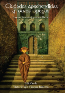 Ciudades aprehendidas y otros apegos : ensayo literario joven de México