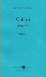 Colibrí reversa