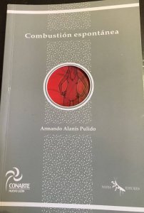 Combustión espontánea