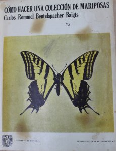 Cómo hacer una colección de mariposas