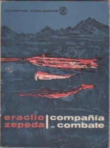 Compañía de combate