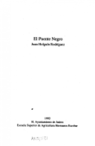 El puente negro
