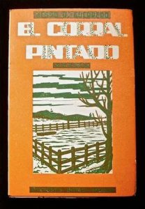 El corral pintado : novela