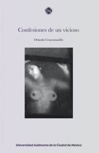 Confesiones de un vicioso